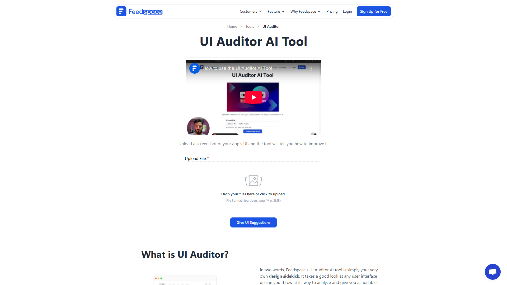 UI Auditor UI Auditor