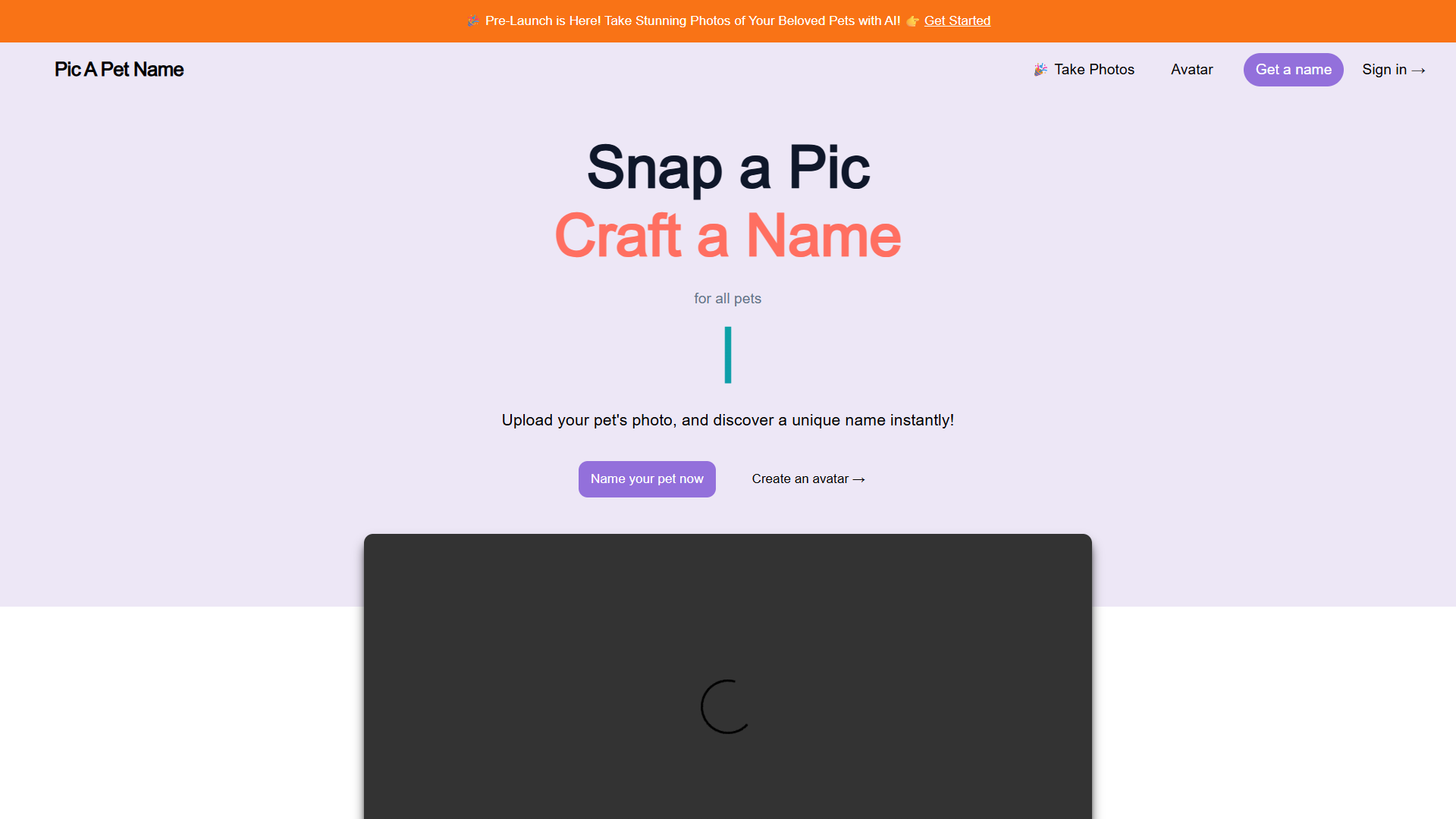 Pic A Pet Name Pic A Pet Name