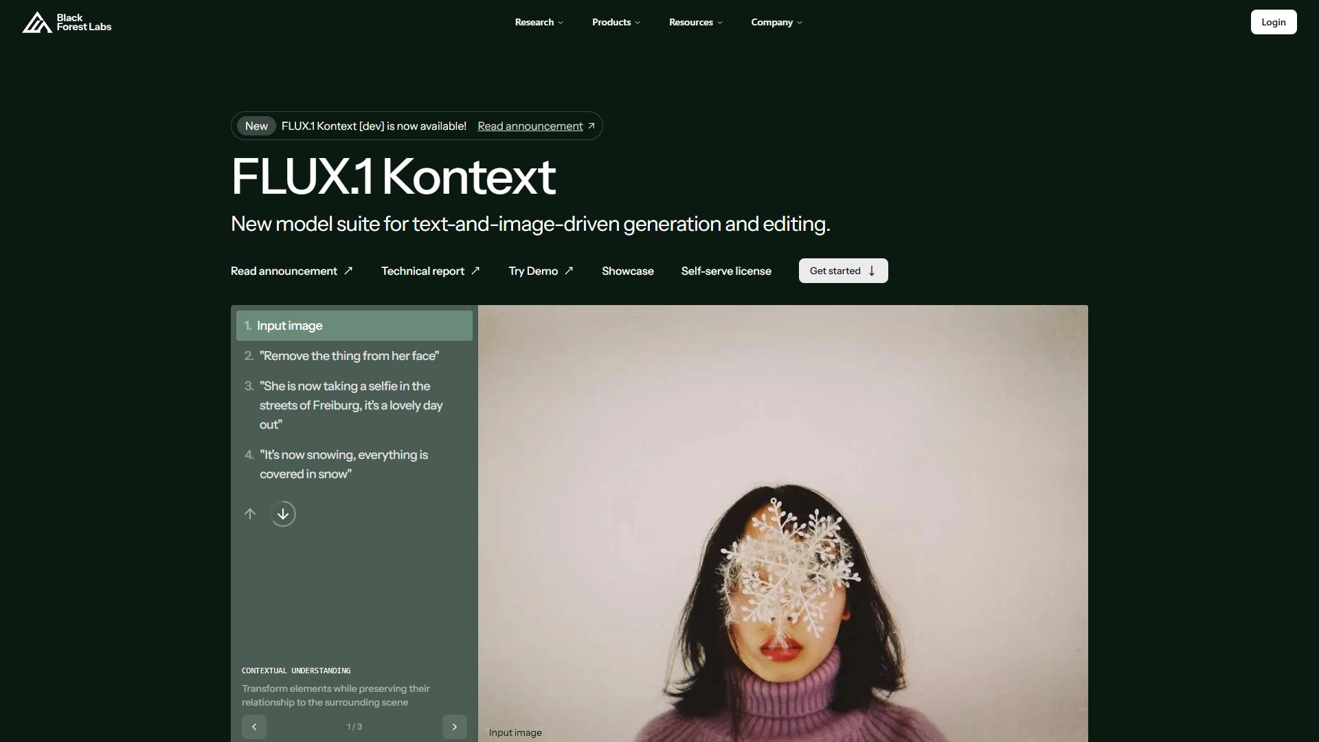 FLUX.1 FLUX.1