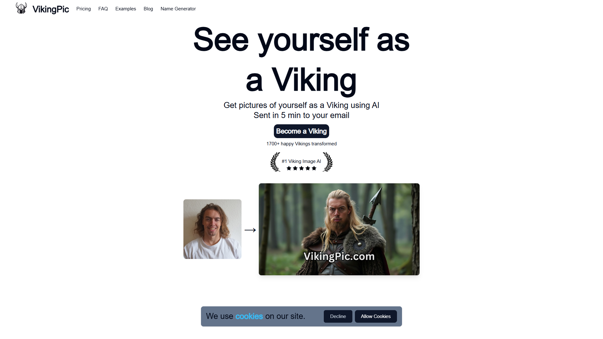 VikingPic VikingPic