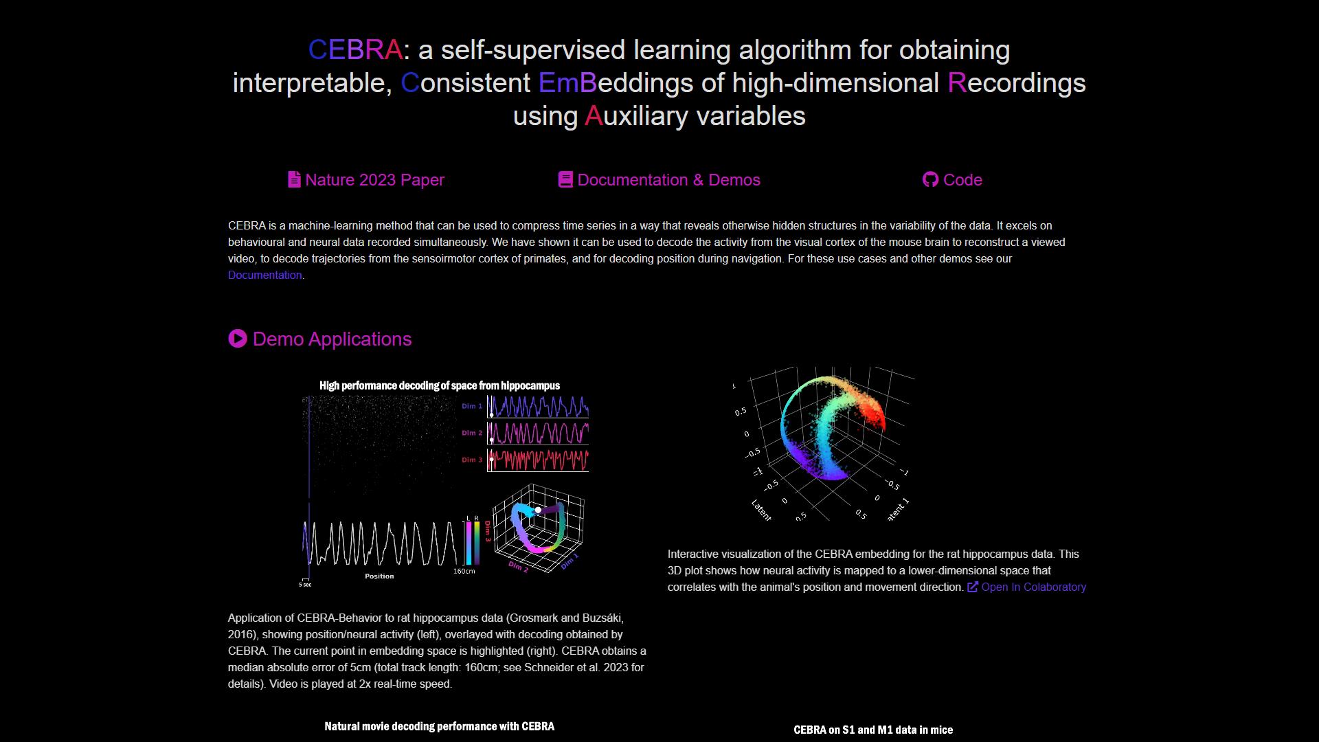 Cebra Cebra