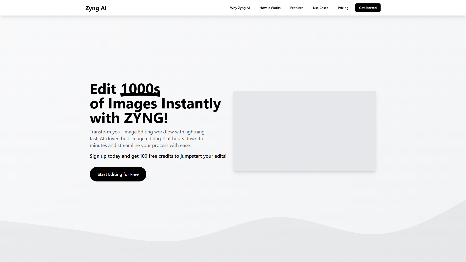Zyng AI Zyng AI