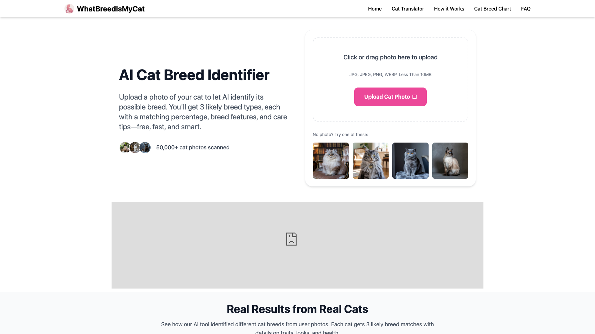 WhatBreedIsMyCat WhatBreedIsMyCat