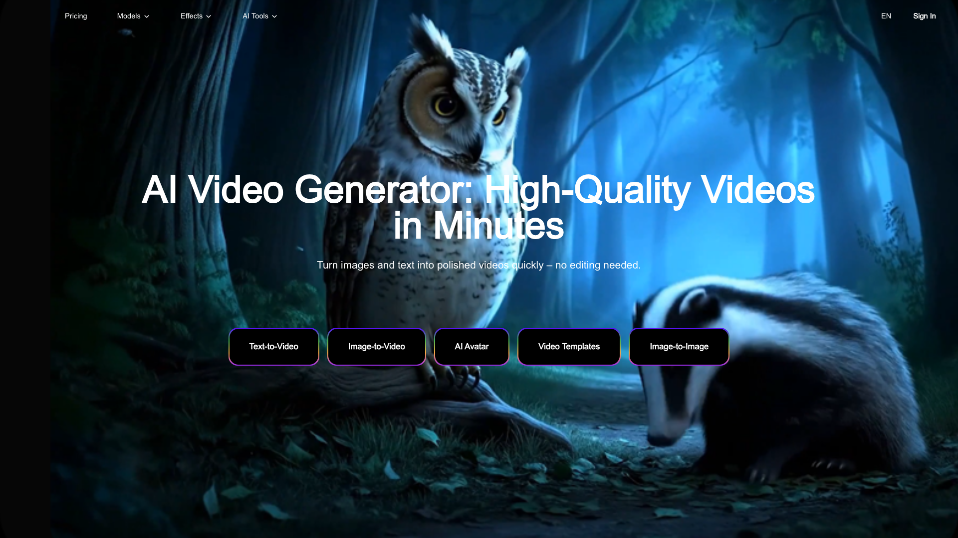 Image-to-Video Maker Image-to-Video Maker