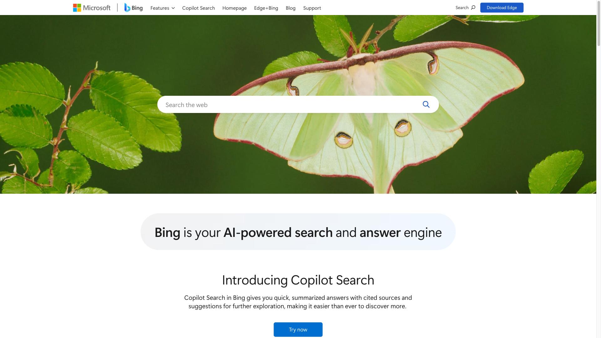 Microsoft Bing Microsoft Bing