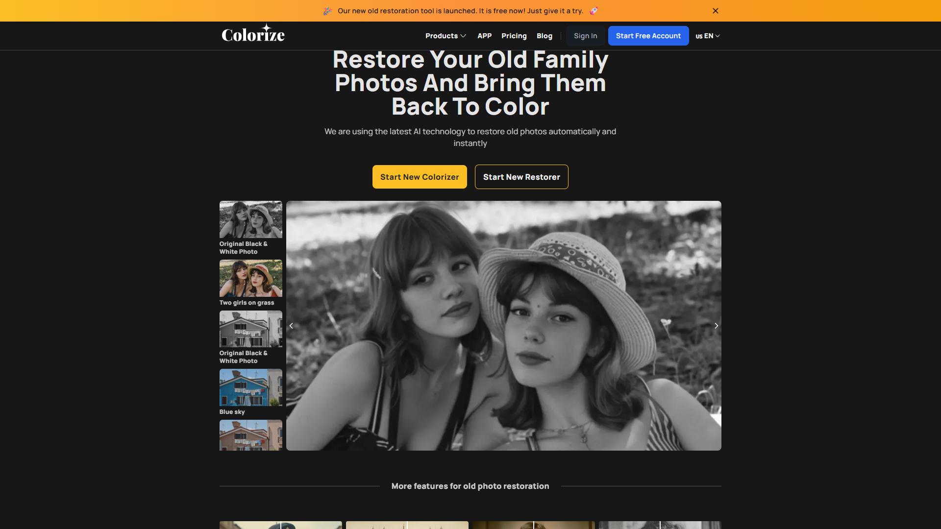 Imagecolorizer Imagecolorizer