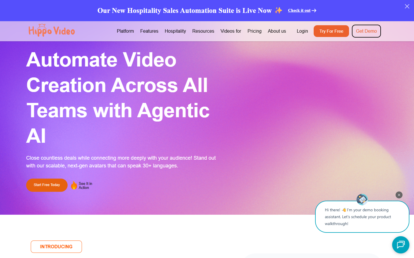 Hippo Video Hippo Video